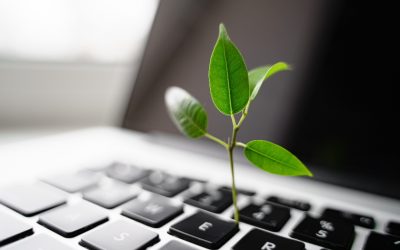 To a Greener Earth with AI