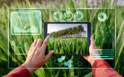 10 Uses of AI in Agriculture